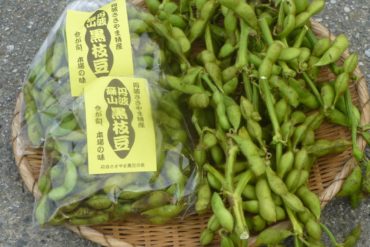 丹波篠山　くり処　すわ農園